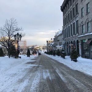 Meet your Posher, Abbey